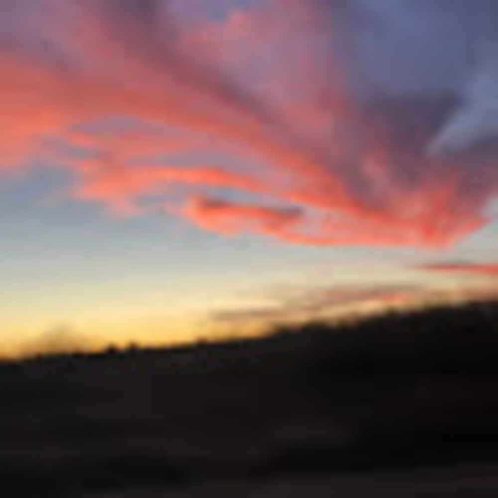 Meet your Posher, Autumn